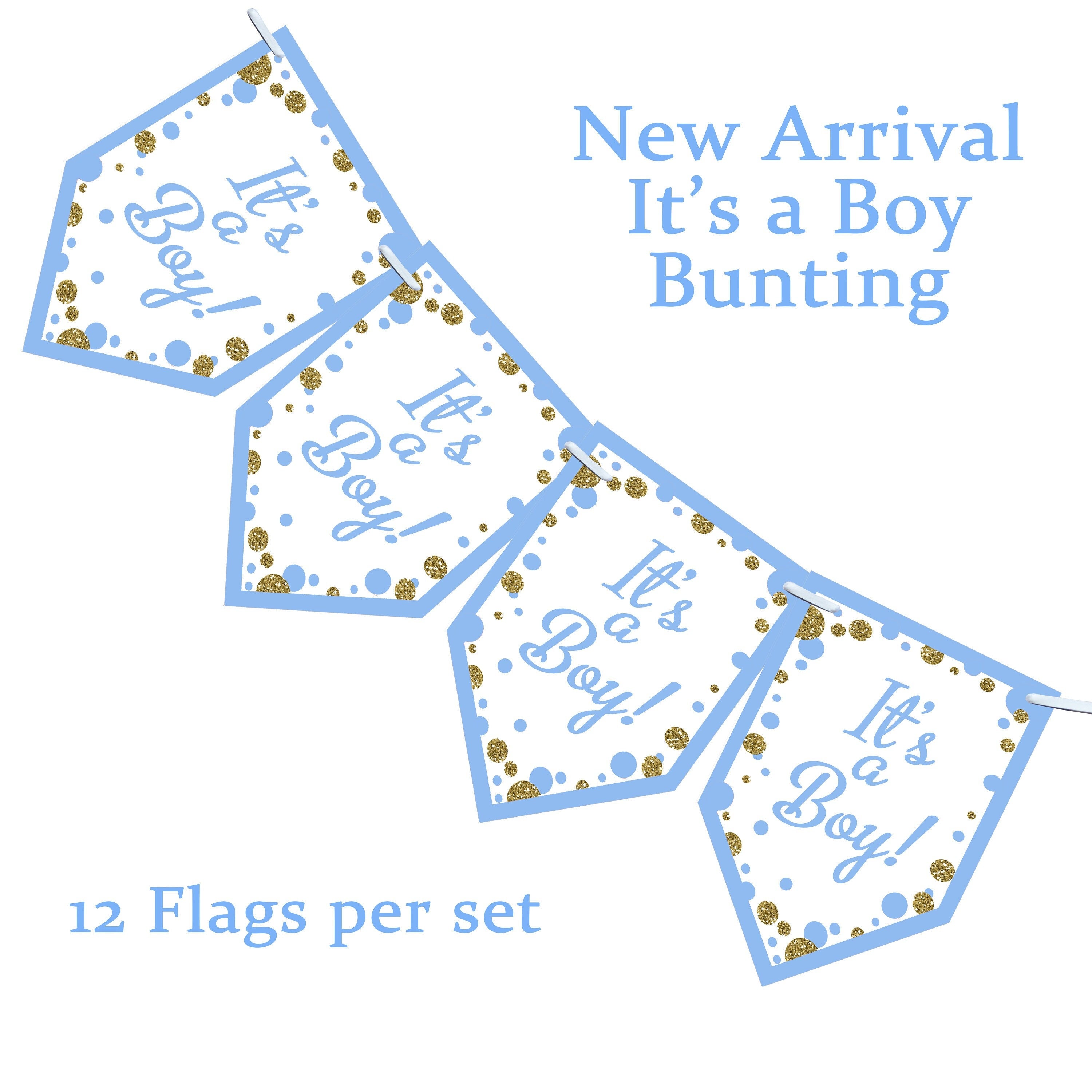 Pink & Blue Its a Boy Its a Girl Baby Shower Boy or Girl Bunting Banner Decoration Flags Glitter Effect