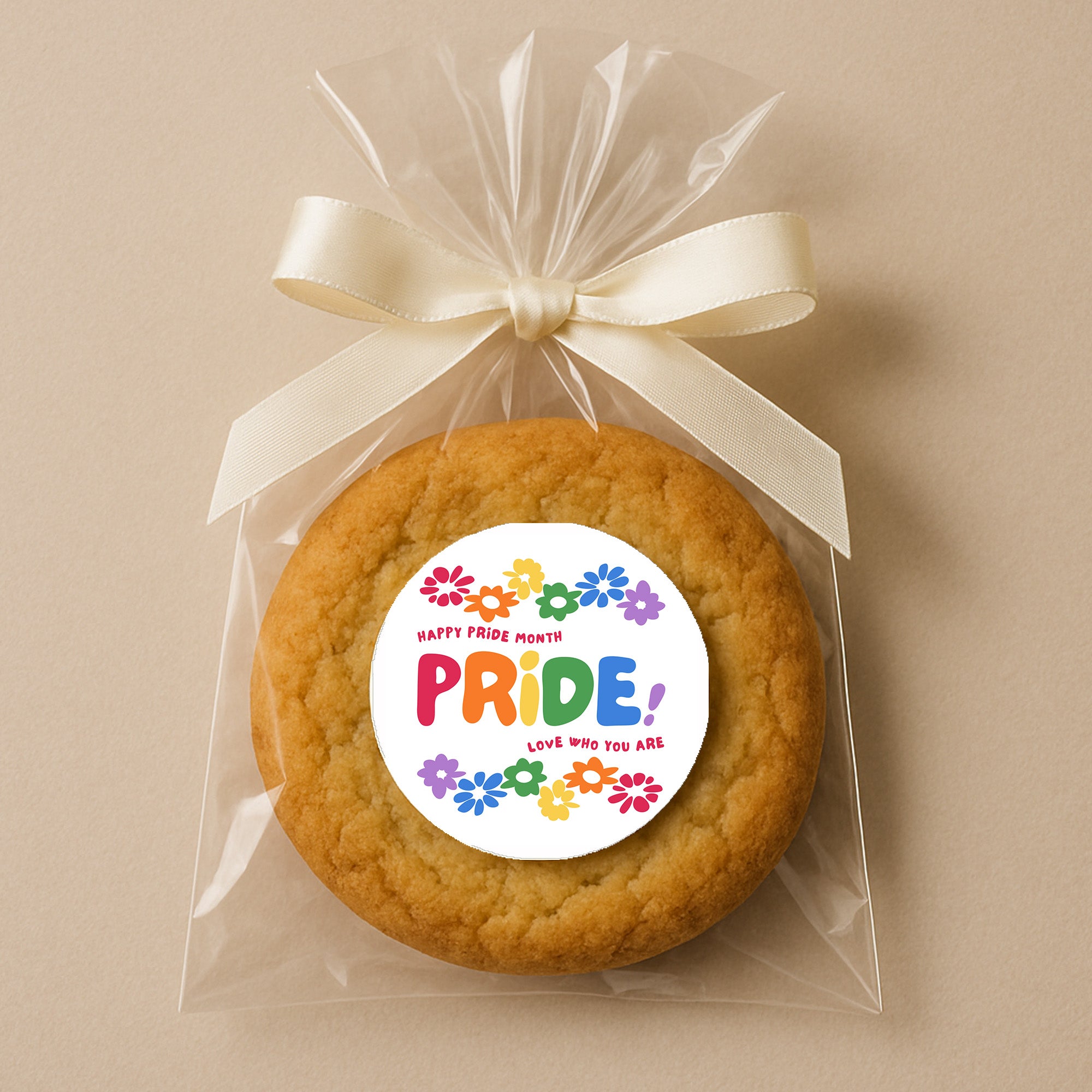 Rainbow Pride Stickers | LGBT Love Is Love Party Decorations | Various Designs