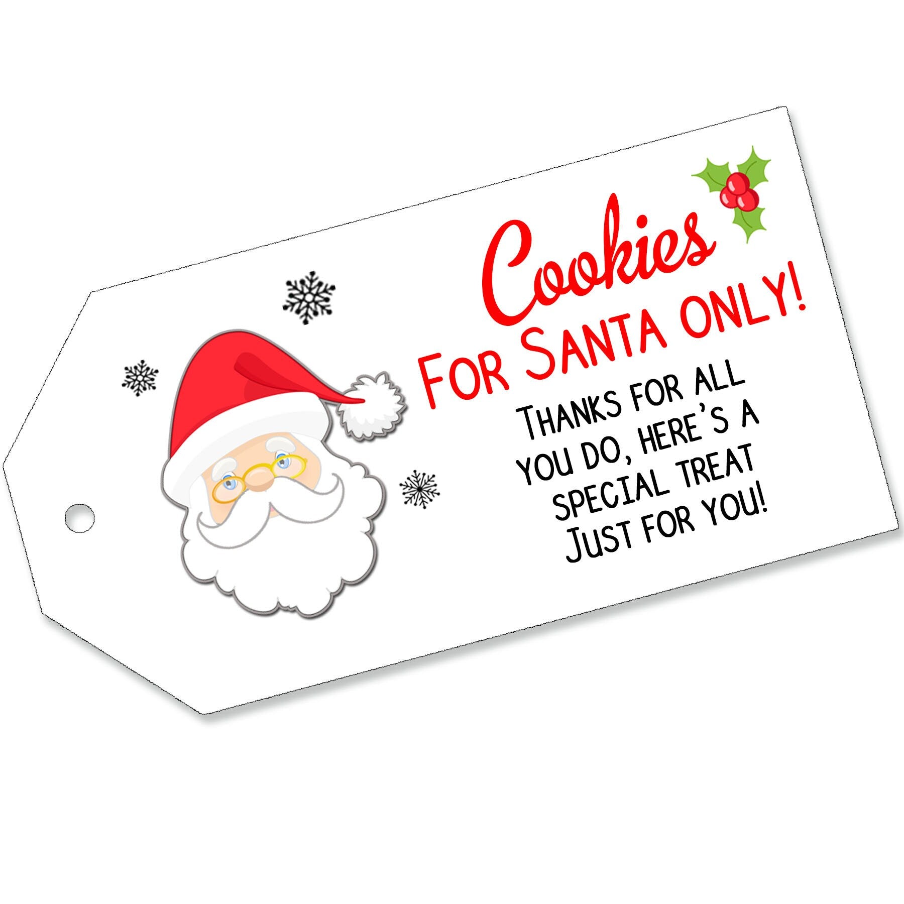 Christmas Labels Magic Reindeer Food Santas Key Milk Snowman Soup Elf Poop Tags