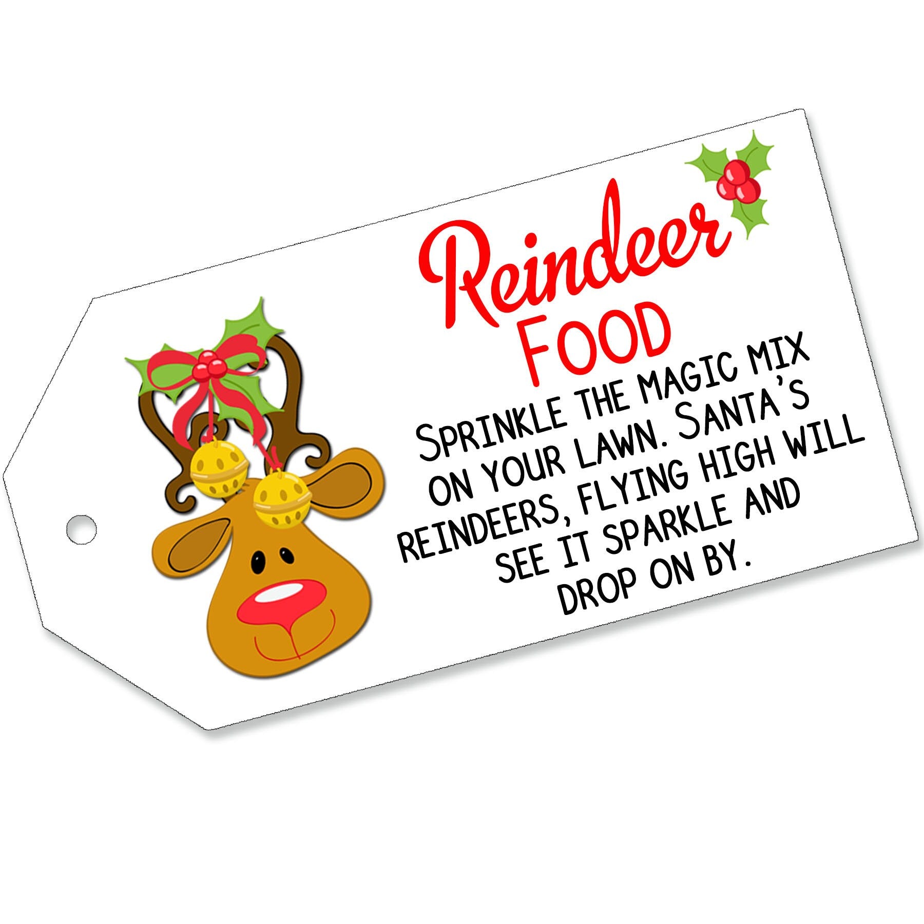 Christmas Labels Magic Reindeer Food Santas Key Milk Snowman Soup Elf Poop Tags