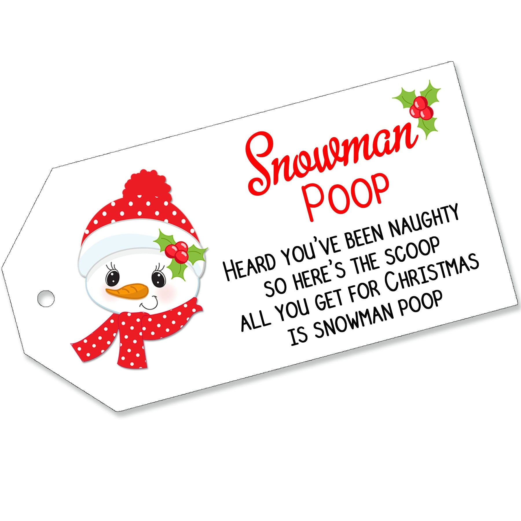 Christmas Labels Magic Reindeer Food Santas Key Milk Snowman Soup Elf Poop Tags