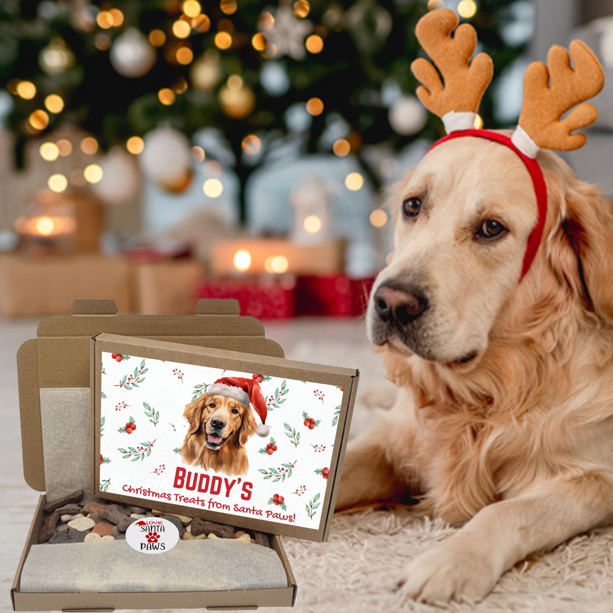 Personalized Dog Treat Gift Box – Custom Christmas Gifts for Any Breed – Holiday Puppy Treats & Doggy Present